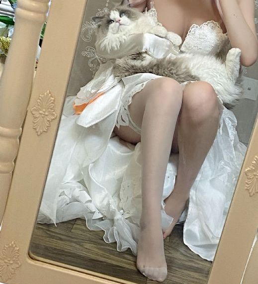 十二夜电影免费完整版粤语_BD英语在线视频观看